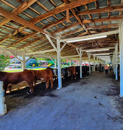 cow-shed-seva